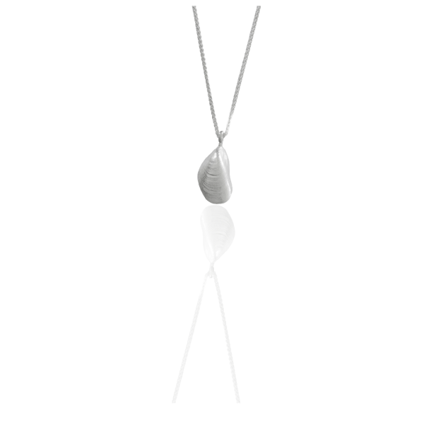 Miesmuschel - die „kleine“